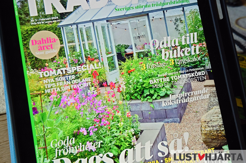 Tidning på paddan
